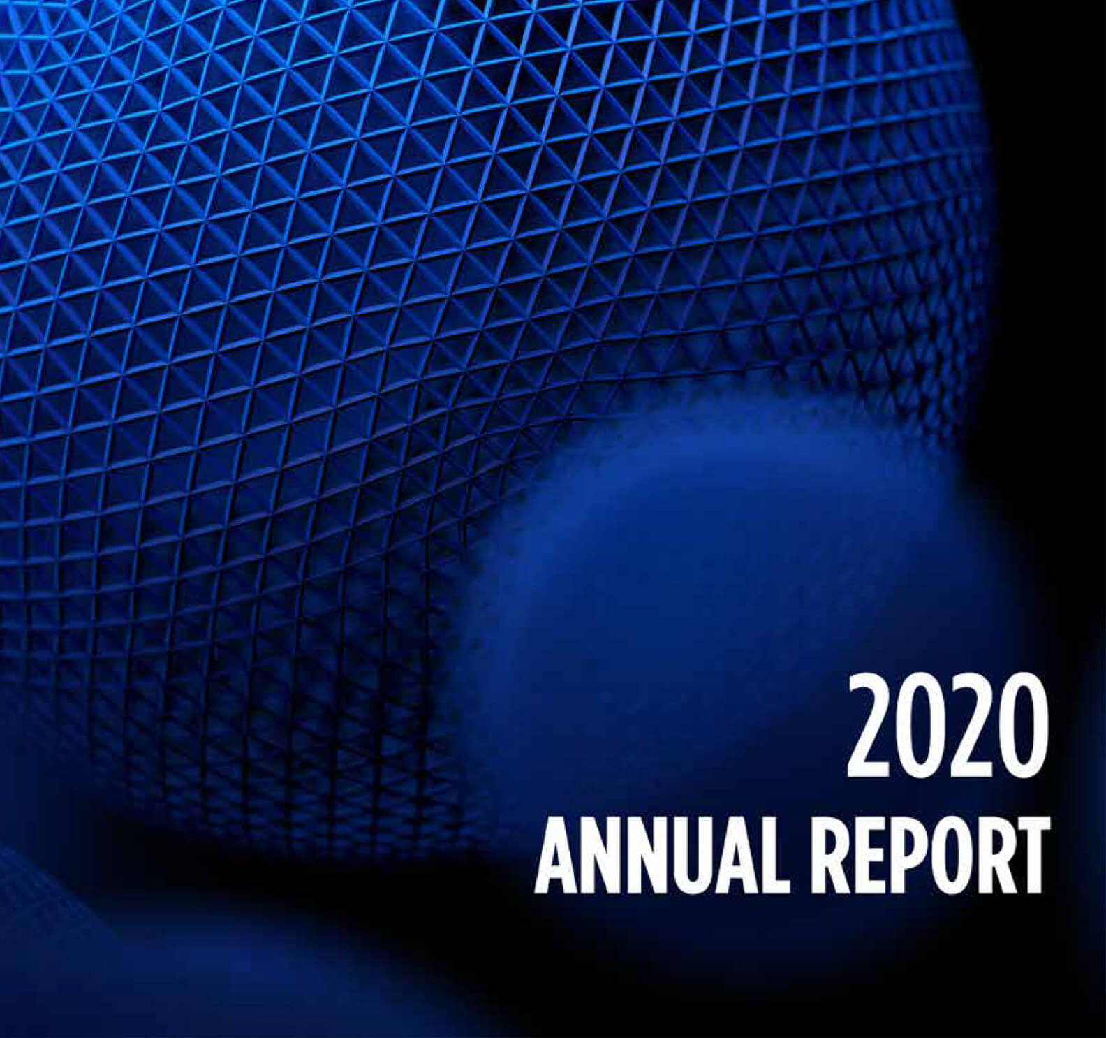 Annual report 2020